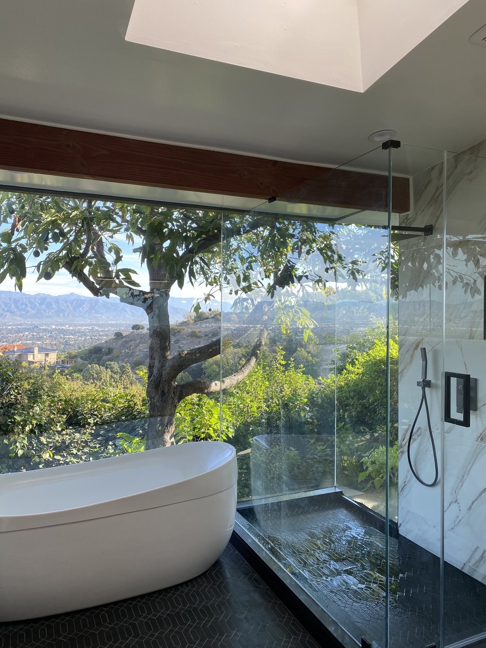 Sherman Oaks Residence