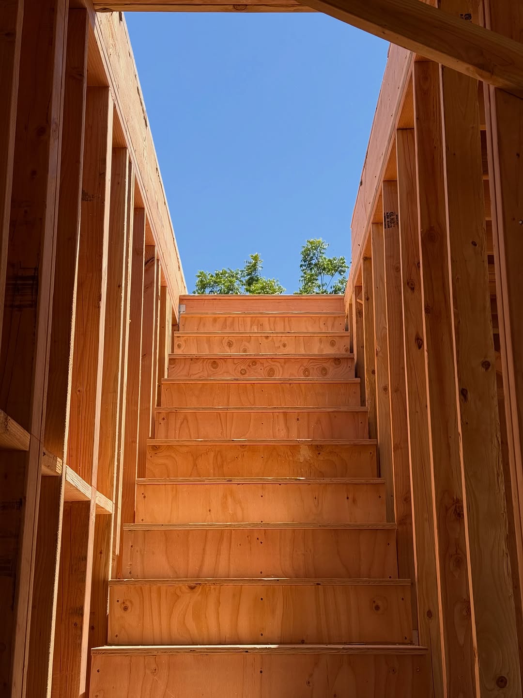 Framing isn’t just about putting up walls.
It’s about creating sight lines, capturing natural light, and making sure every window has a purpose. The difference between an average home and a great one is usually decided long before the finishes go in.
